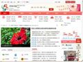 黑龙江省人力资源与网站缩略图