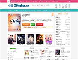 中国网络电视台全面支持iPad用户访问